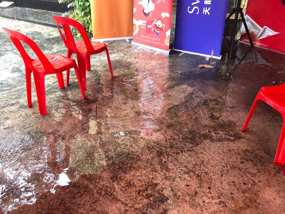 84238262_135096000924165_219664276992819200_n.jpg 84238262_135096000924165_219664276992819200_n.jpg