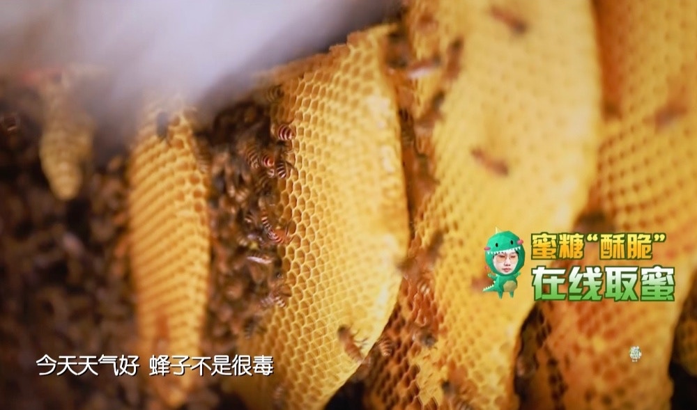 ez6-ZoWYEBAXMxJmsr_AqmgJCok-mrgGbzzr228869s.jpg ez6-ZoWYEBAXMxJmsr_AqmgJCok-mrgGbzzr228869s.jpg