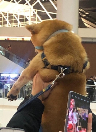 d4661001.jpg d4661001.jpg