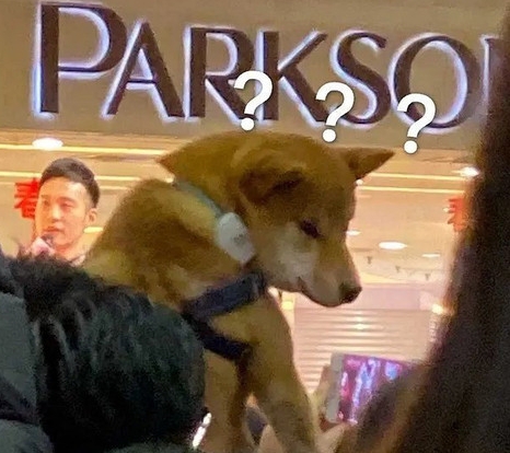 d4661003.jpg d4661003.jpg