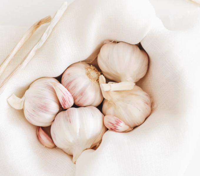 garlic.png