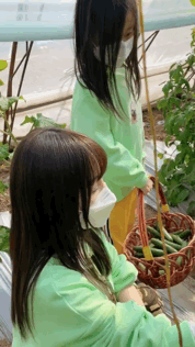 6b31-iwxpesw8523338.gif 6b31-iwxpesw8523338.gif