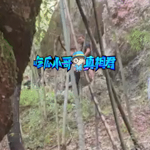 222.gif 222.gif