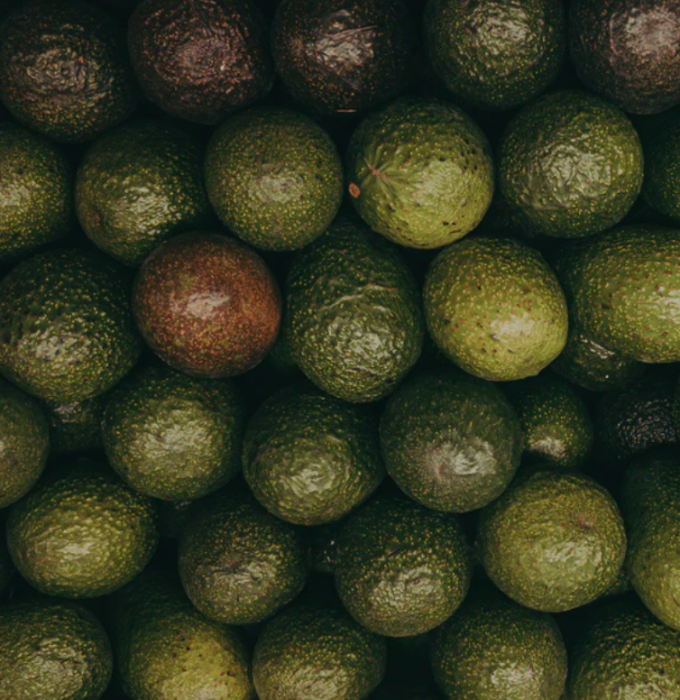 avocado.png