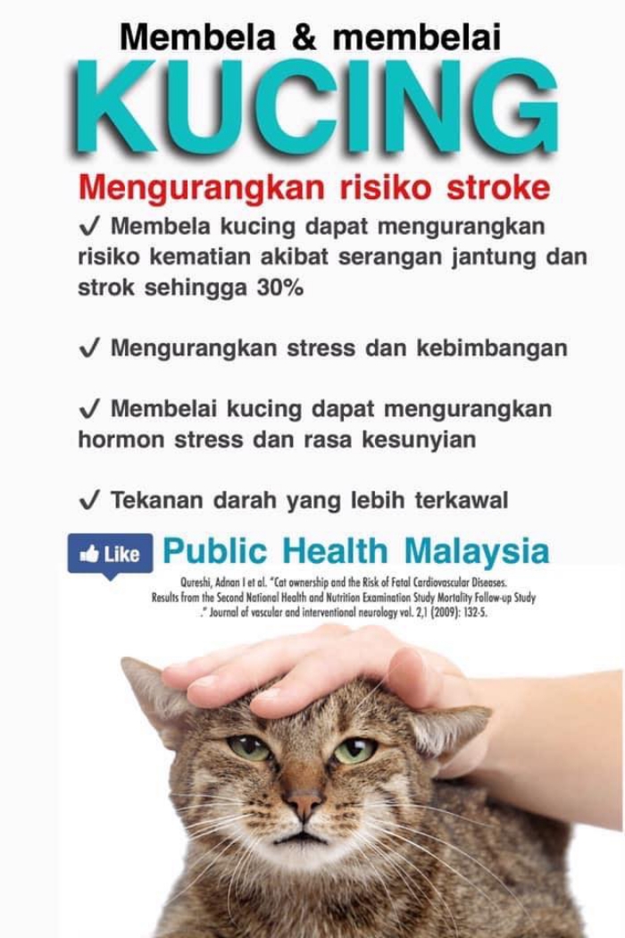 cat-june16-1.jpg cat-june16-1.jpg