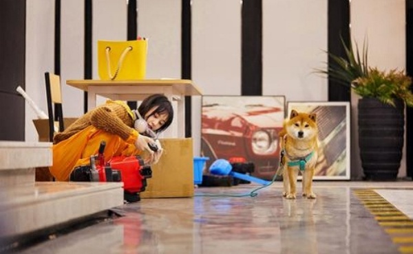 dog_02.jpg dog_02.jpg