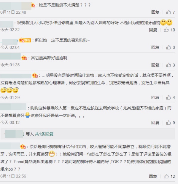 dog_05.jpg dog_05.jpg