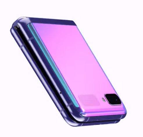 Purple-2.JPG