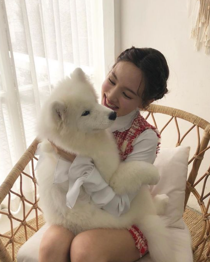dog.png