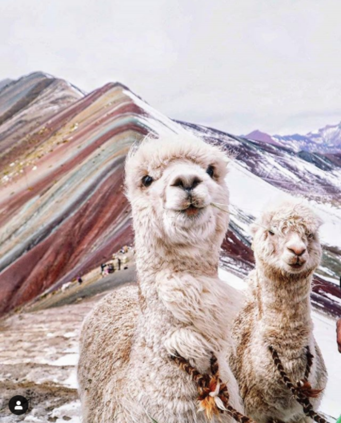 rainbow-mountain-peru-4.png rainbow-mountain-peru-4.png