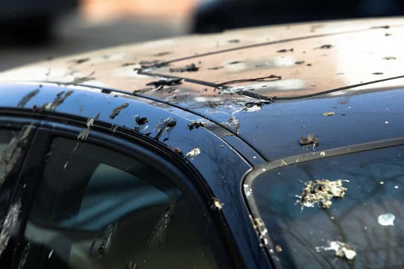 bird-droppings-car-paint-007.jpg bird-droppings-car-paint-007.jpg