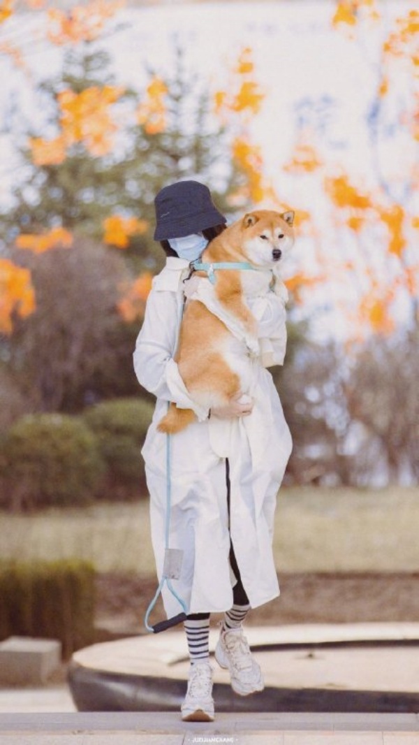 dog_03.jpg dog_03.jpg