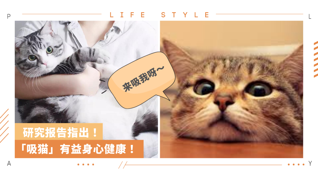 cat-june16-cover.png