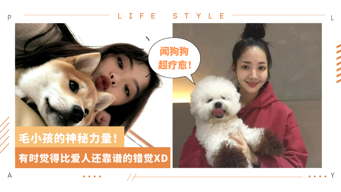 dog-love.png