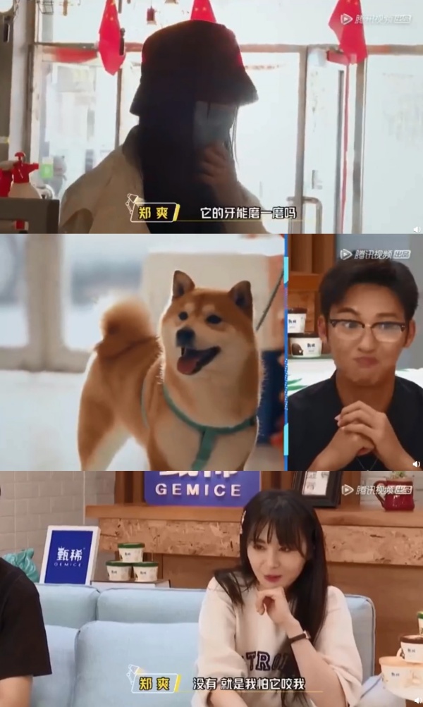 dog_04.jpg dog_04.jpg