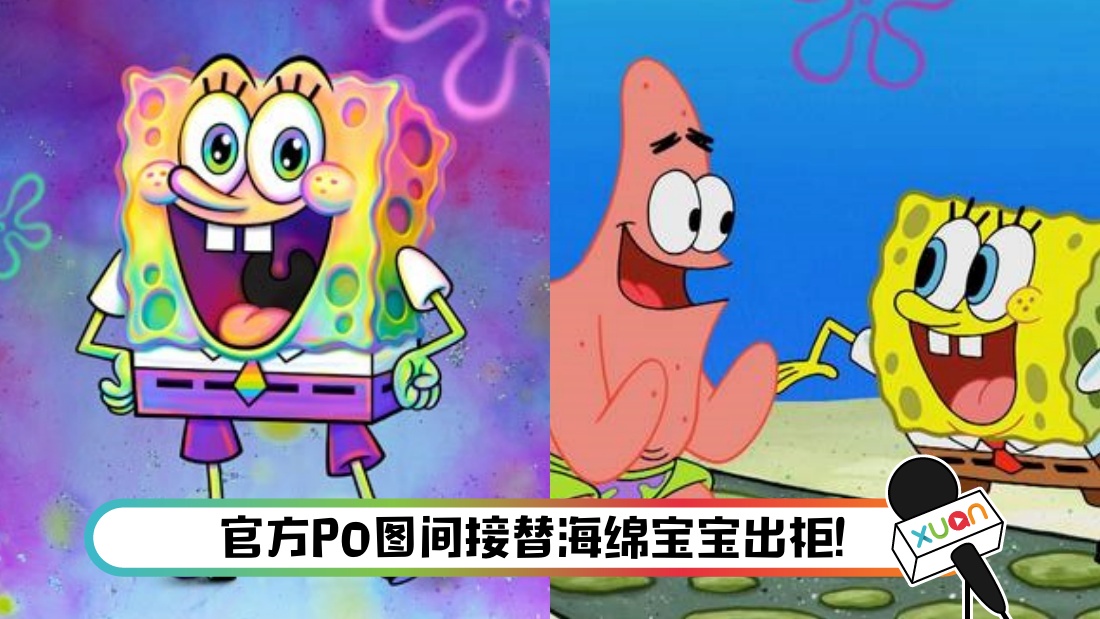 spnge-main.jpg