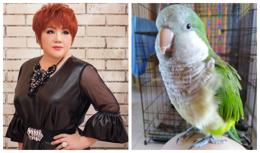 0320-TGC4.jpg 0320-TGC4.jpg