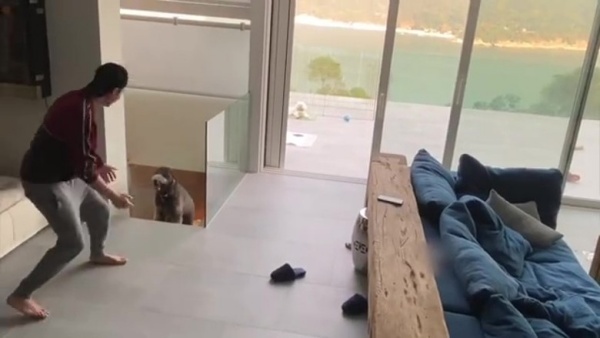 chen_07.jpg chen_07.jpg