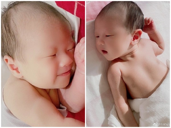 d4740849.jpg d4740849.jpg