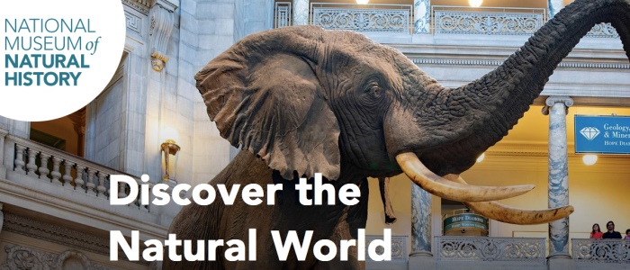 virtual-tours-travel-6.png virtual-tours-travel-6.png