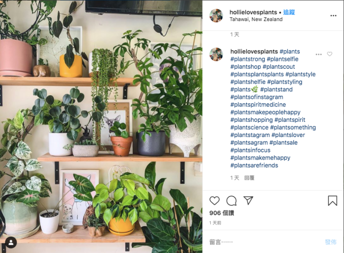 ig-hashtag-plants-make-me-happy.png ig-hashtag-plants-make-me-happy.png