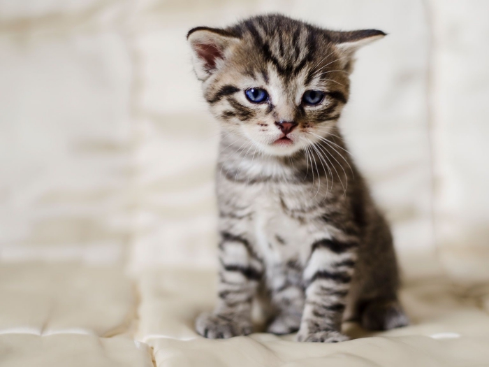 reflect-on-yourself-1.jpg reflect-on-yourself-1.jpg