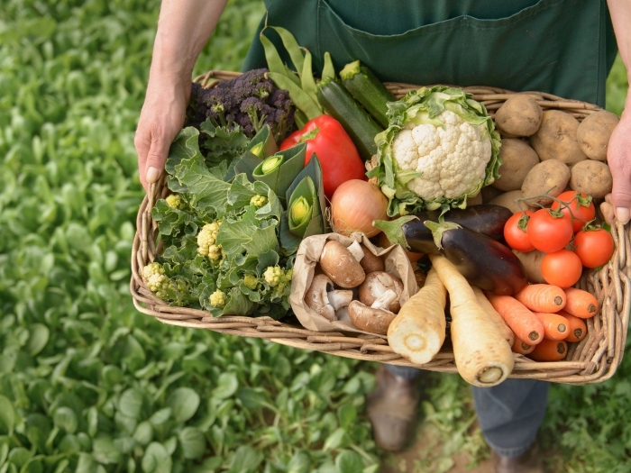 online-groceries-market-2.jpg online-groceries-market-2.jpg