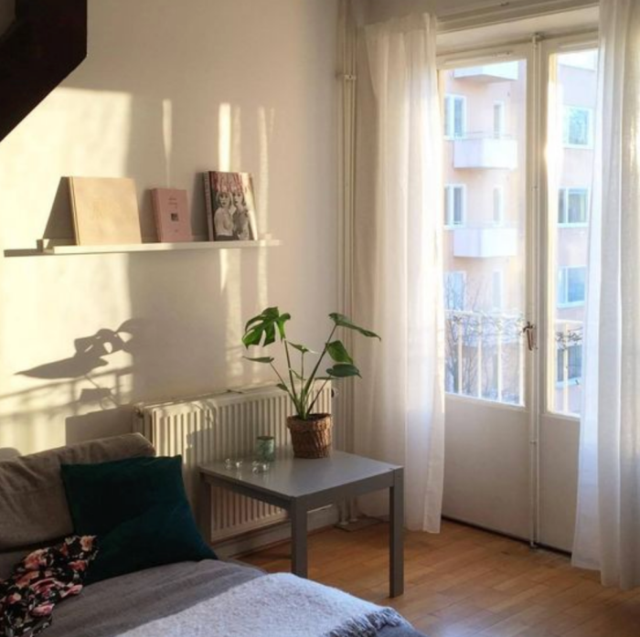 sunlight.png sunlight.png