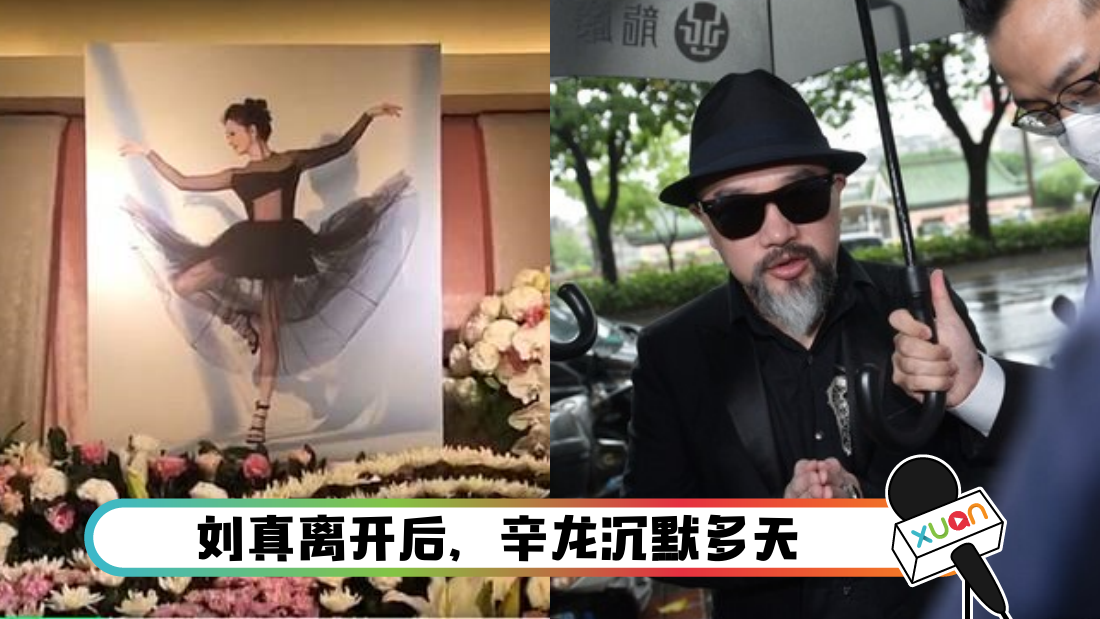 xin_cover.png