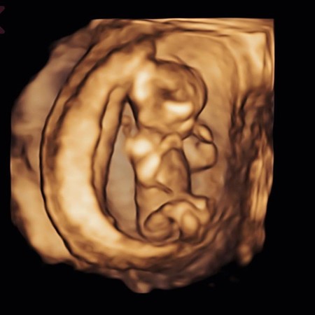 d4869340.jpg d4869340.jpg