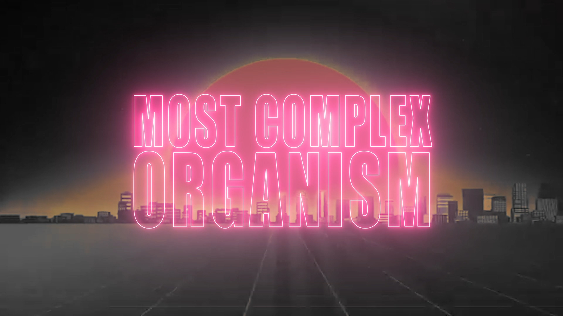 mostcomplexorganism-00_00_05_23-Still001.jpg mostcomplexorganism-00_00_05_23-Still001.jpg