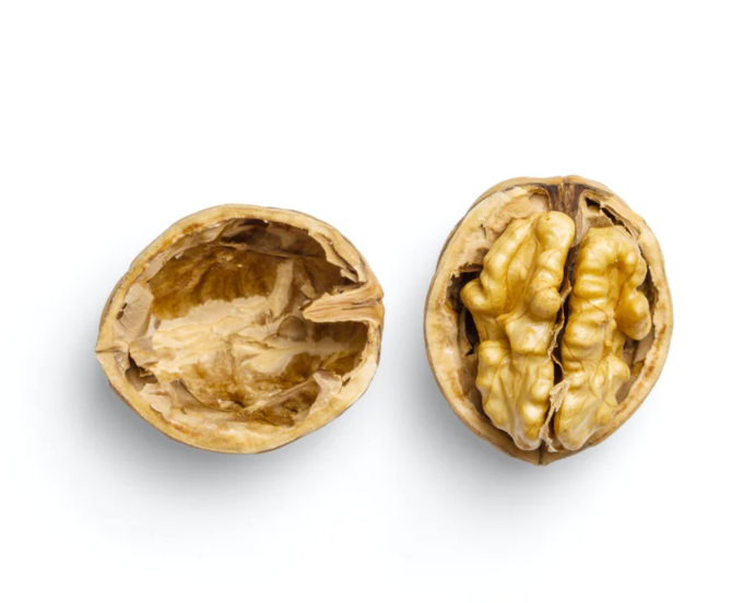 walnut.png walnut.png