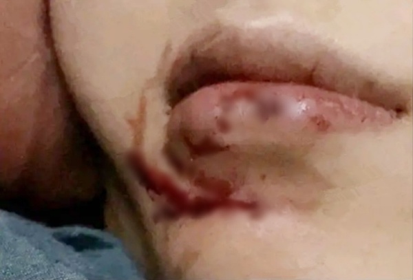 fcc_04.jpg fcc_04.jpg