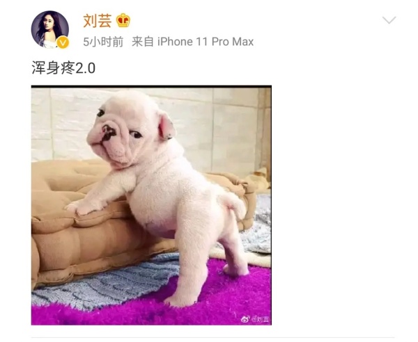 0076Eemrly1gem1n1zuf9j30u01ntwo7.jpg 0076Eemrly1gem1n1zuf9j30u01ntwo7.jpg