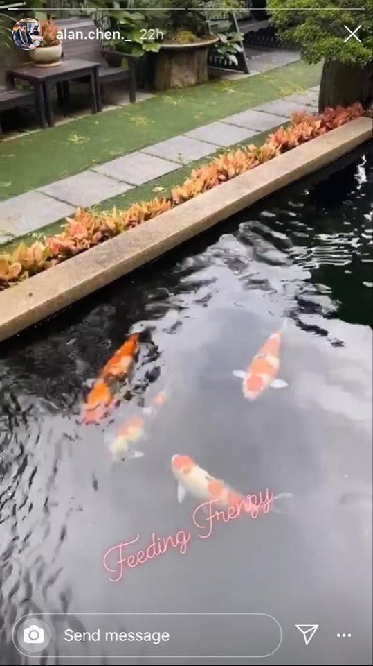 98204783_578048003128544_2846659205157355520_n.jpg 98204783_578048003128544_2846659205157355520_n.jpg