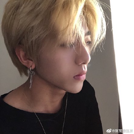 wanghong3.jpg wanghong3.jpg