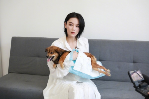 zhangxinyu4.jpg zhangxinyu4.jpg
