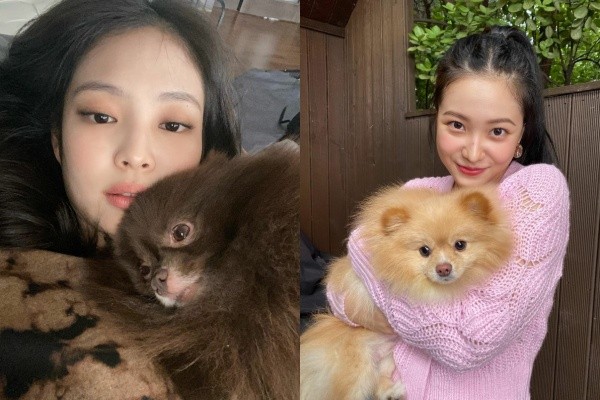 jennieyeri2.jpg jennieyeri2.jpg