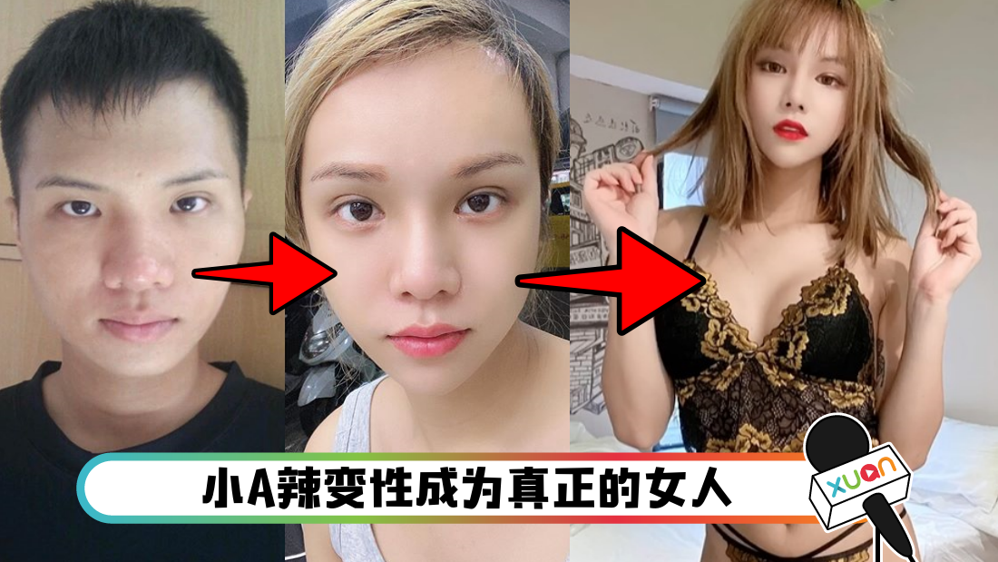 xiaoalanvren_cover.png