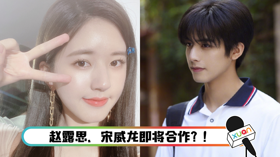 zhaolusisongweilong_cover.png