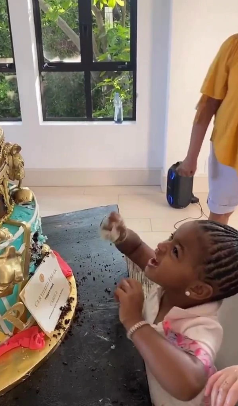 cardi3.png cardi3.png