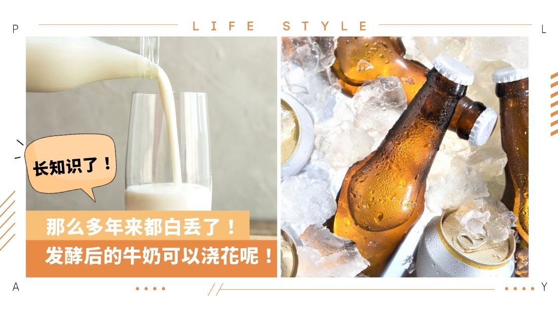 lifestyle-oct1.jpg