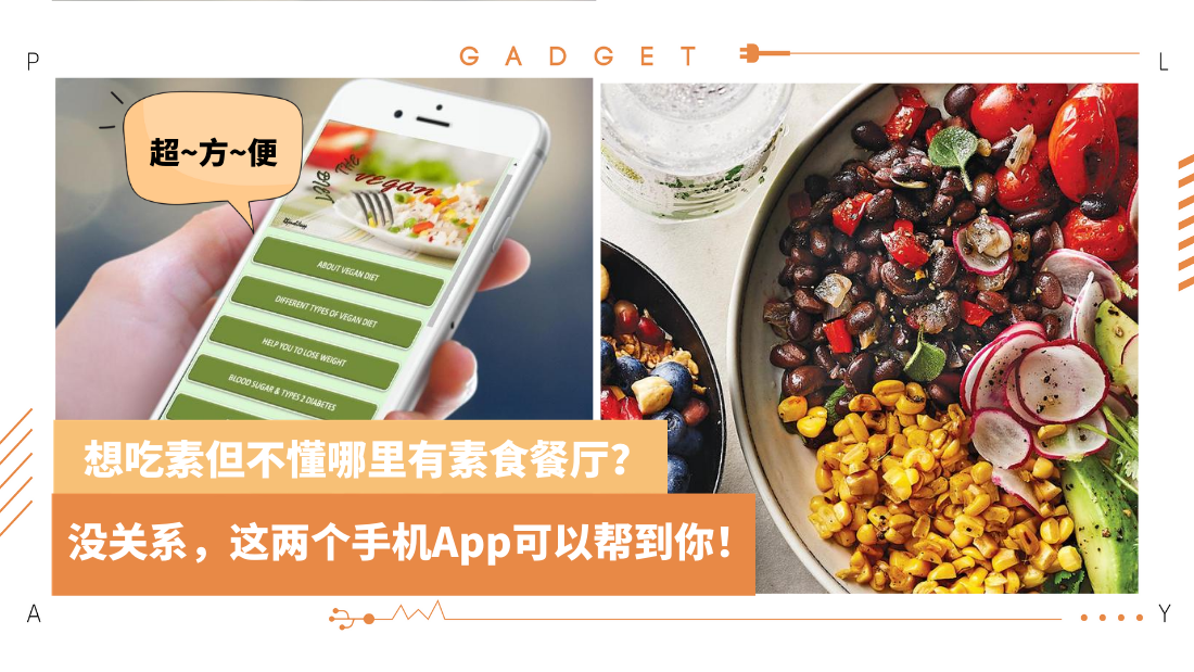 vege-app.png