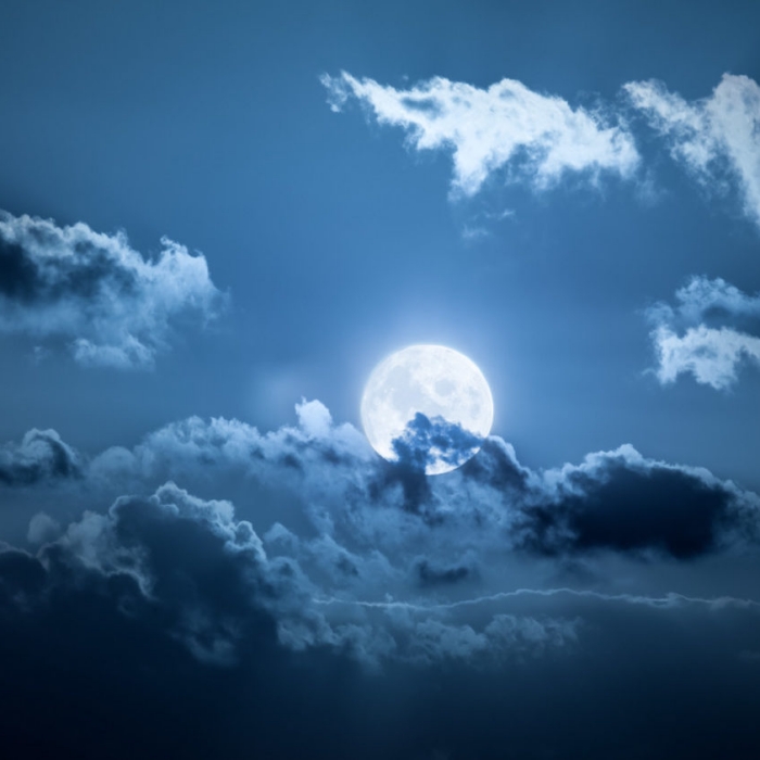 blue-moon-2020-3.jpg blue-moon-2020-3.jpg