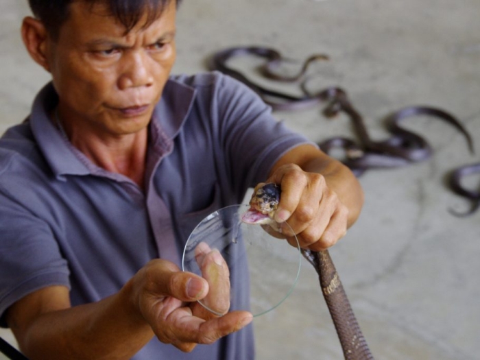 job-sep25-1.jpg job-sep25-1.jpg