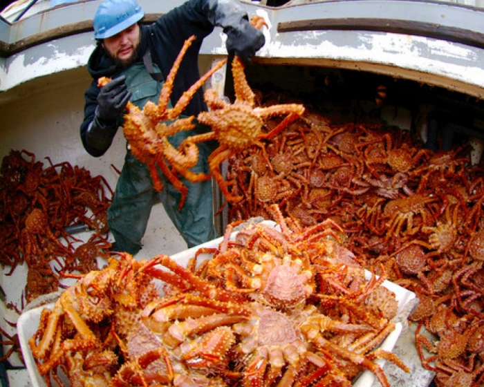 job-sep25-5.jpg job-sep25-5.jpg