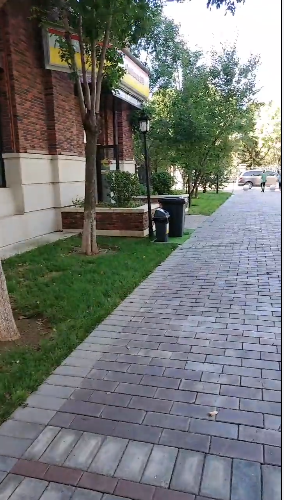 Screenshot_1.png Screenshot_1.png