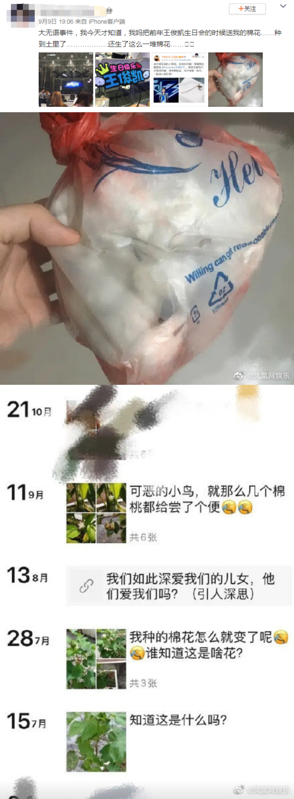 wang_005.png wang_005.png