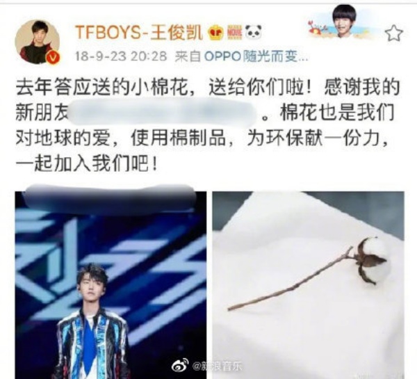 wang_04.jpg wang_04.jpg