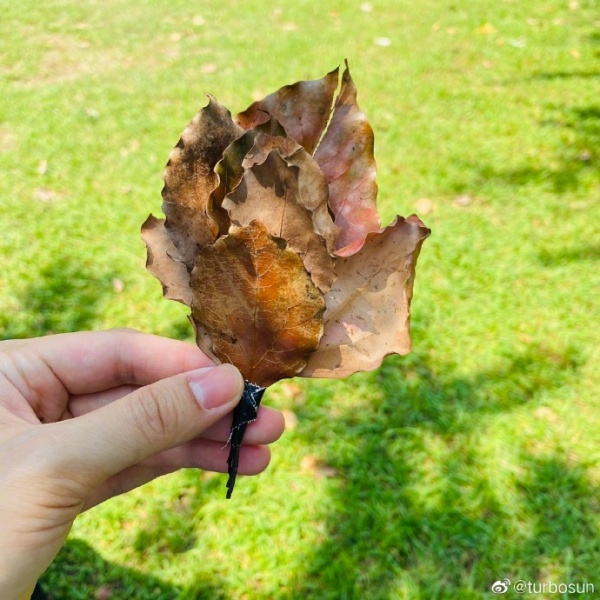 001Pza0mgy1giosp7fmiyj60u00u0qam02.jpg 001Pza0mgy1giosp7fmiyj60u00u0qam02.jpg